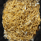 Best Lo Mein in Aurora, CO